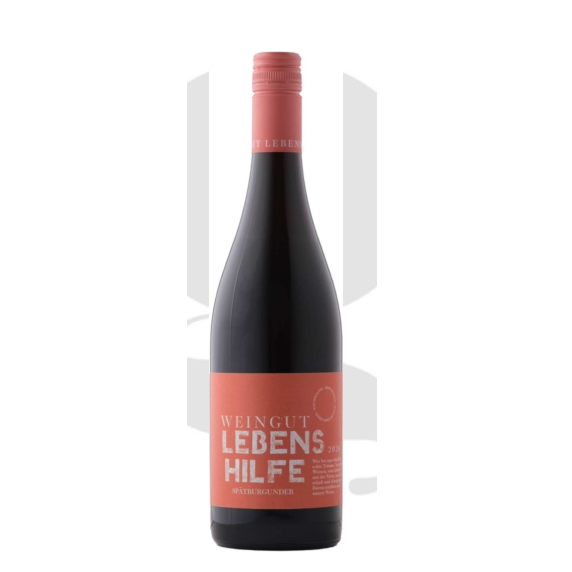 Weingut Lebenshilfe Spatburgunder 2022 – Bio