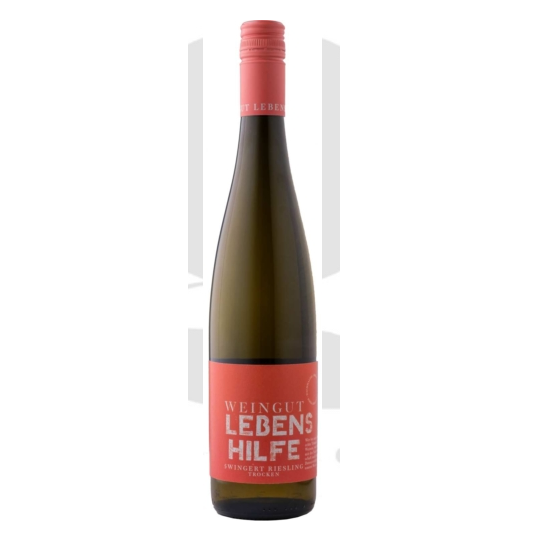 Weingut Lebenshilfe 5 Wingert Riesling 2024 – Bio