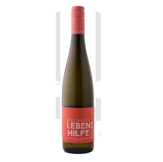 Weingut Lebenshilfe 5 Wingert Riesling 2024 – Bio